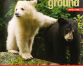Common Ground, un magazine engagé pour l'environnement. Photo par Common Ground  