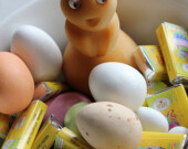 Le lapin de Pâques | Photo par Rennings (Flickr)  
