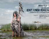 Entanglement|Michael J.P. Hall  