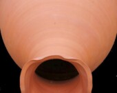 Babak Golkar, Time to Let Go, 2014 Urne en terracotta. | Photo de Babak Golkar  