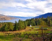 La ferme Ravens’ View et sa vue à un million de dollars sur le lac Okanagan, selon les Wwoofers. | Photo par Anne-Diandra Louarn  