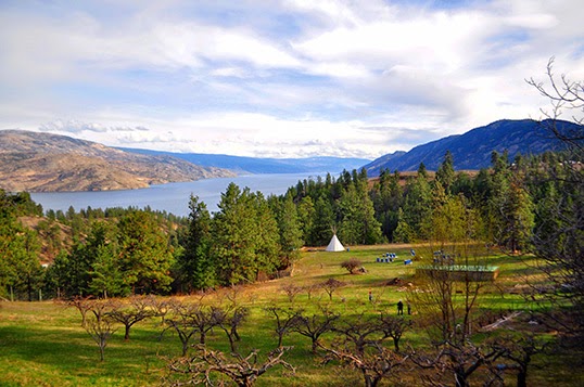 La ferme Ravens’ View et sa vue à un million de dollars sur le lac Okanagan, selon les Wwoofers. | Photo par Anne-Diandra Louarn  