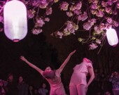 Illuminations et danse sous les cerisiers à Charleson Park. | Photo de LOBO  