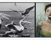 Pelicans Staring at Woman with Nose Bleeding par John Baldessari. | Photo par John Baldessari  