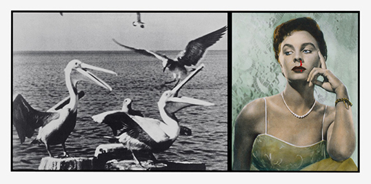 Pelicans Staring at Woman with Nose Bleeding par John Baldessari. | Photo par John Baldessari  