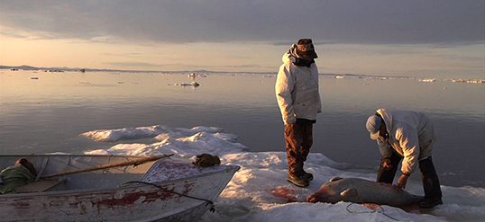 Watch the Inupiaq people facing the realities and consequences of climate change in Kivalina, playing at DOXA.  