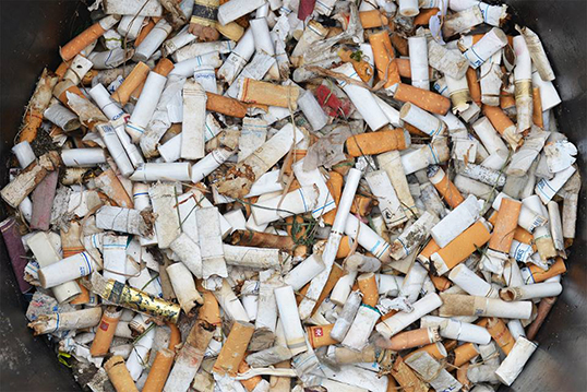 Près de 795 mégots ont été collectés lors du dernier nettoyage à la plage Habitat Island. | Photo de Surfrider Foundation Vancouver