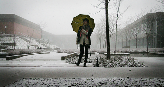 La pluie et la neige sont les deux sources principales de l’eau à Vancouver. | Photo par Malloreigh