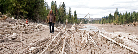 Effects of the Mount Polley mine disaster in 2014. | Photo by Jeremy Board  
