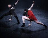 Avec birds sing a pretty song : danse interactive et musique live sont au programme. | Photo de Chutzpah! Festival  