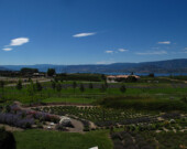 Economisée de la distillation d’huiles essentielles (Okanagan). | Photo de la SDECB  