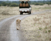 Photo de South African Tourism  