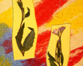 Art for art: an inclusive approach | Photos courtesy of Lena Tan
