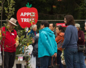 Fresh, crisp and delicious!| Photo courtesy of UBC Botanic Gardens.  