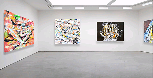 Une exposition des oeuvres de Thibault Sendra. | Photo de Thibault Sendra  