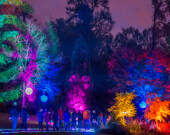A dazzling illumination.| Photo courtesy of the City of Surrey.  