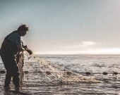 Scène du film Fish First. | Photo de Come to Life  