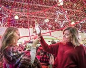 Join in the celebration at Glow Gardens. | Photo courtesy of Glow Gardens  