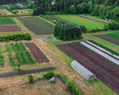 Photo d’UBC Farm  