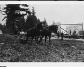 Working the Green Chain explores the contributions of Sikhs to both Fraser Mills and the B.C. lumber industry. | Photo courtesy of Vancouver Public Library