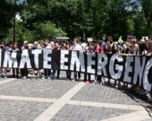 024 Youth Climate Strike | Photo par Felton Davis (Flickr: felton-nyc)  
