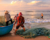 Photo courtesy of Institute for the Oceans and Fisheries, UBC  