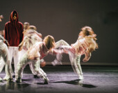 Dancing on the Edge Festival will once again deliver high calibre, challenging dance, delivering innovative and spell-binding works. | Photo courtesy of Dancing on the Edge Festiva  