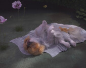 Amy Ching-Yan Lam, Looty Goes to Heaven, 2022 (video still) | Photo courtesy of Amy Ching-Yan Lam  