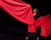 Le spectacle de danse flamenco ROJO Y SOMBRA sera présenté le dernier weekend de mai au Centre des arts Shadbolt de Burnaby. | Photo de Karen Flamenco  