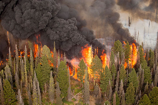 Les feux de forêts font partie des effets
dévastateurs causés par les changements climatiques. (Crédit : Wikimedia Commons)  