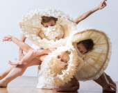 In celebration of their 35th Annual Dancing On The Edge, the festival will include a presentation of over thirty extraordinary
dance productions in live stage performances showcasing artists from across Canada. | Photo by Luciana-Freire-DAnunciacao.  