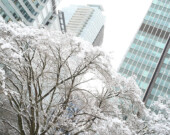 « ... la semaine dernière où, une fois n’est pas coutume, l’hiver m’a cueilli à froid. » | Photo par Roland Tanglao  