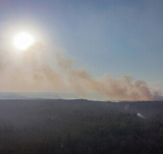 L’Ouest du Canada devrait connaitre une saison d’incendies de forêt plus intense que l’Est du pays en 2025 | Photo par Cody Eason  