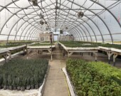Nupqu est une entreprise qui redéfinit la restauration écologique grâce aux plantes indigènes | Nupqu  