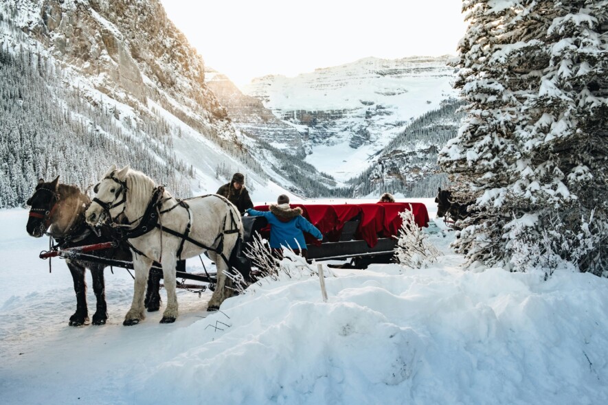 La fête de Noël du Cercle des Canadiens français de Prince George comprenait une promenade en traîneau tiré par des chevaux | Ezra Jeffrey-Comeau, Unsplash 

  