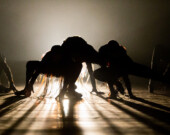 Royal Winnipeg Ballet's T'əl: The Wild Man of the Woods | Photo by Daniel Crump  