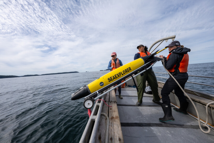 Canadian-Chilean research partnership at the Bamfield Marine Sciences Centre | Photo by Katherine Cheng.  