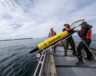 Canadian-Chilean research partnership at the Bamfield Marine Sciences Centre | Photo by Katherine Cheng.  