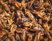 Fried insects are viewed as a nourishing food source in many parts of the world. | Photo by Max Tcvetkov, Unsplash.  