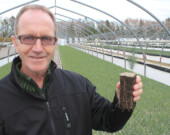 Le directeur de SARGIM, Denis Bujold, montre un plant d’arbre de première
année. Il sera prêt à être planté en 2021. SARGIM et sa filiale Pépinière
Baie-des- Chaleurs gèrent deux stocks de plants, le premier, imposant,
porteur d’une capacité de livraison de 5 millions d’arbres au ministère de la Faune, de la Forêt et des Parcs, des arbres destinés aux terres publiques, et le stock de sa division ornementale, pour le secteur privé, qui comprend les
plants destinés à la compensation de carbone. Photo : Gilles Gagné.  